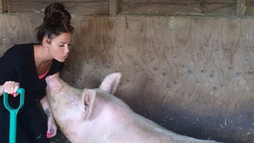 Katie Price hat schon viel Erfahrung mit Schweinen Katie Price hat schon viel Erfahrung mit Schweinen