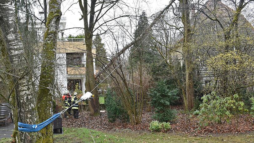 Die Feuerwehr sicherte die 20 Meter hohe Birke zuerst, um die Katastrophe zu verhindern. Die Feuerwehr sicherte die 20 Meter hohe Birke zuerst, um die Katastrophe zu verhindern.