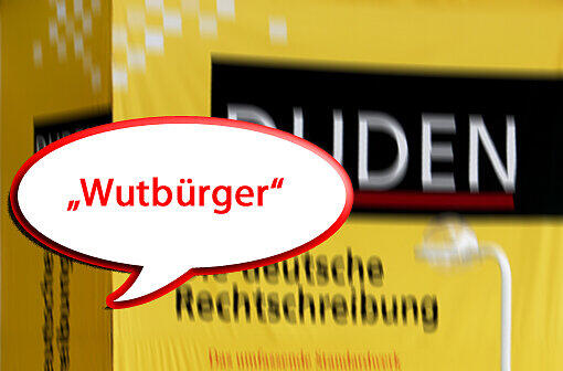Vom "Shitstorm" bis zur "Vorständin" - die neuen Wörter im Duden zum Durchklicken.
