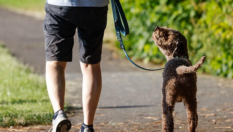 F&uuml;r das Halten von Hunden erheben Kommunen in Deutschland eine Hundesteuer.