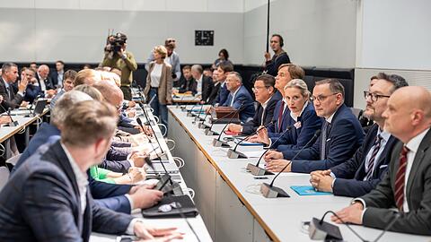 Die AfD-Fraktion sieht sich benachteiligt durch die Entscheidungen. (Archivfoto)