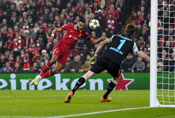 Cody Gakpo steht beim FC Liverpool noch bis 2028 unter Vertrag. Cody Gakpo steht beim FC Liverpool noch bis 2028 unter Vertrag.