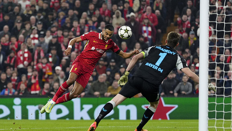 Cody Gakpo steht beim FC Liverpool noch bis 2028 unter Vertrag. Cody Gakpo steht beim FC Liverpool noch bis 2028 unter Vertrag.
