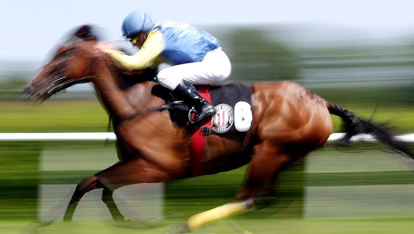 In einer Suppenk&uuml;che findet ein Gast in seinem Essen den Mikrochip eines ehemaligen Rennpferdes. (Symbolfoto)