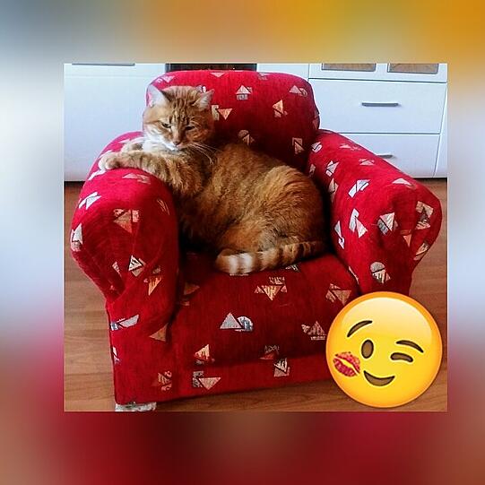 Rosi