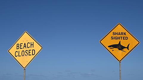 Die Str&auml;nde in der Region wurden zun&auml;chst gesperrt. (Symbolbild)