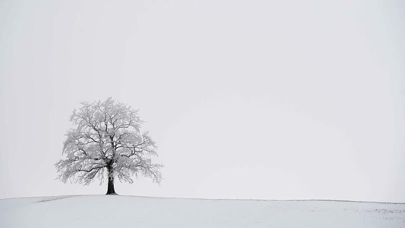 Am Mittwoch beginnt bereits der Frühling. Zeit, Bilanz zu ziehen.