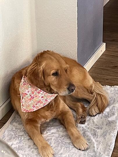 Lotta