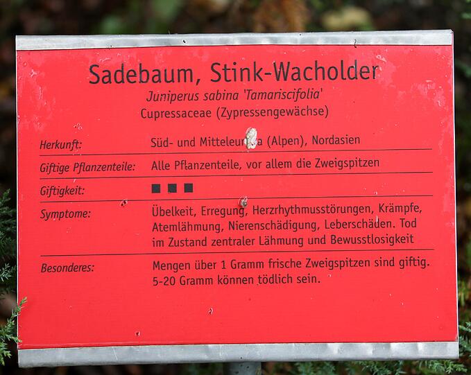 Auflösung siehe Tafel