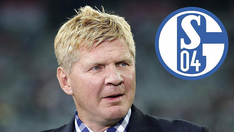 Laut Medienberichten hat Steffan Effenberg sich bereits mit Schalke auf einen optionalen Vertrag geeinigt. Laut Medienberichten hat Steffan Effenberg sich bereits mit Schalke auf einen optionalen Vertrag geeinigt.