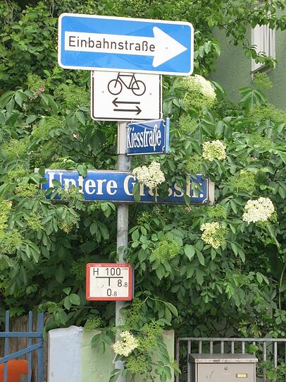 Mitten in der Stadt und dennoch fast dörflich erscheint Giesing auf den Bildern von AZ-Leser Werner Lube.
