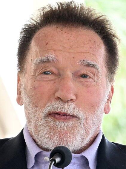 Arnold Schwarzenegger hat schon ein offenbar &auml;hnliches Buch ver&ouml;ffentlicht.