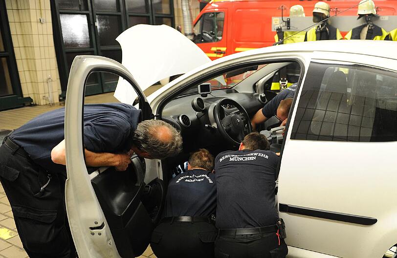 Ein kleiner Kiebitz hatte sich in der Lüftung eines Autos verfangen. Die Feuerwehr befreite den Vogel in einer stundenlangen Rettungsaktion. Die Bilder...