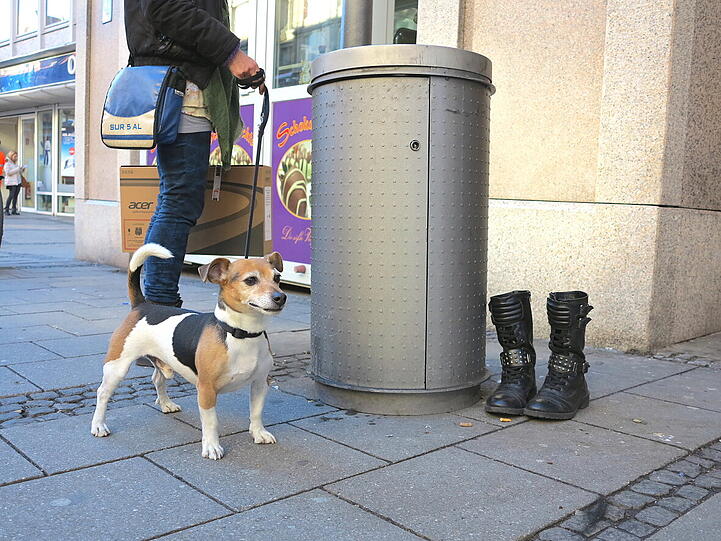 "Schade, dass die Hundebesitzerin weiter musste; ich möchte wetten, dass wir beiden Schnüffler den Stiefel-Besitzer schon gefunden hätten!"