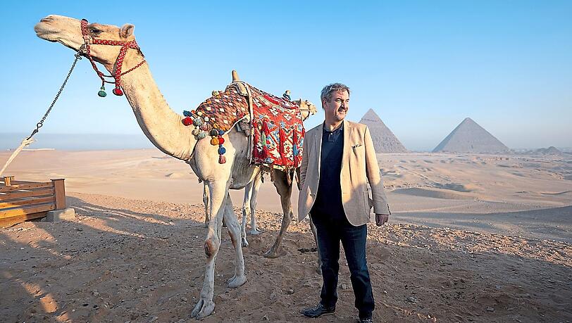 Seite an Seite im heißen Wüstensand: Markus Söder, hier mit zutraulichem Kamel, besichtigt die Pyramiden von Gizeh.