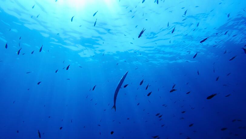 Bisher gibt es für die Hochsee keine einheitlichen Umweltregeln. (Illustration)
