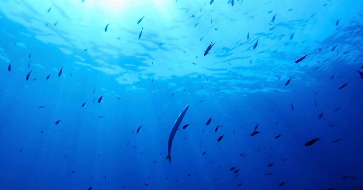 Deutschland-will-Schutzabkommen-f-r-Hochsee-beitreten