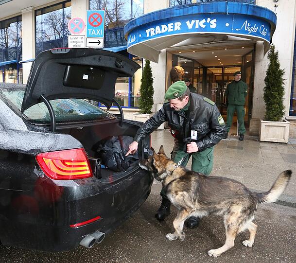 Polizeihund Dasko sucht vor dem Bayerischen Hof nach Sprengstoff.