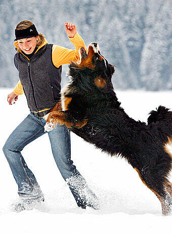 Ebenfalls pelzig, aber eher schwarz: Rocky, der Hund der Zollbeamtin aus Garmisch-Partenkirchen.