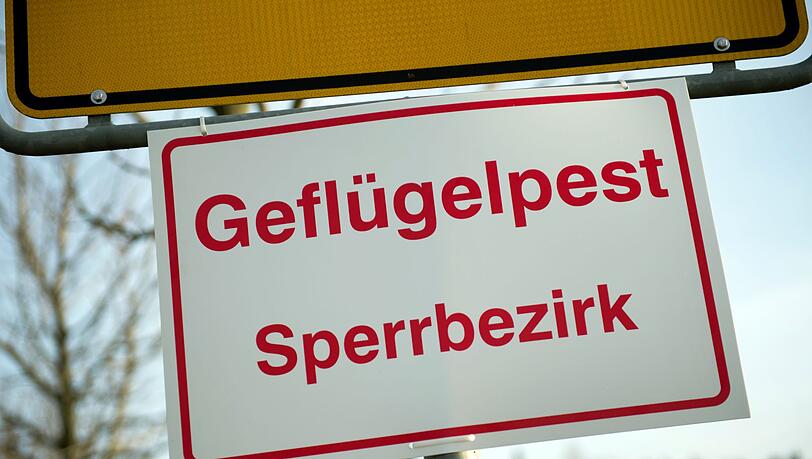 In Mittelfranken gibt es einen Verdacht auf Geflügelpest. (Archivbild)