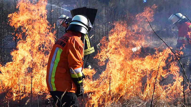 ...Spaziergänger hatten die Flammen bemerkt. Die Feuerwehr konnte die Brände löschen.