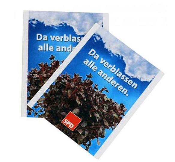 Für die Gartler: Zwei Tüterl Samen für Roten Basilikum.