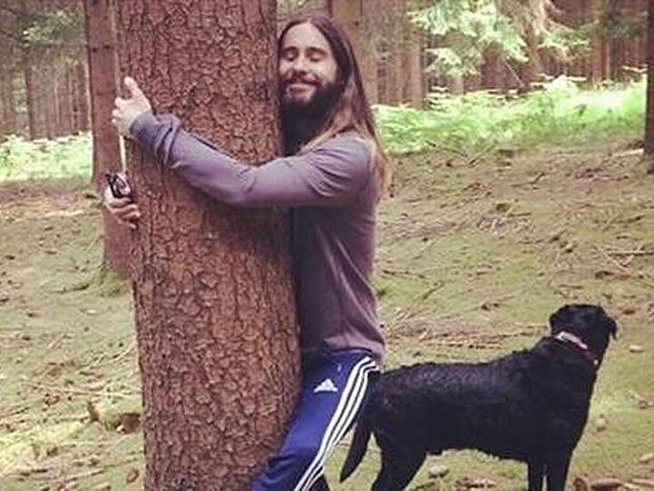 Jared Leto liebt Bäume - und auf Fotomontagen noch ganz andere Dinge