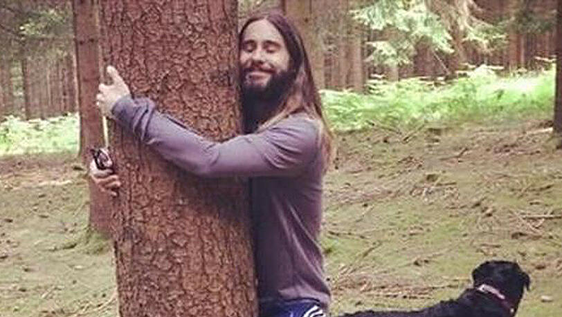 Jared Leto liebt Bäume - und auf Fotomontagen noch ganz andere Dinge Jared Leto liebt Bäume - und auf Fotomontagen noch ganz andere Dinge
