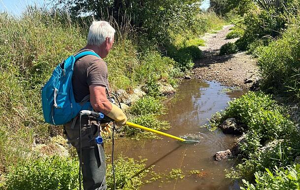 Ein Isarfischer fischt Fische aus dem H&uuml;llgraben, sie werden umgesetzt.