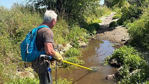 Ein Isarfischer fischt Fische aus dem H&uuml;llgraben, sie werden umgesetzt.