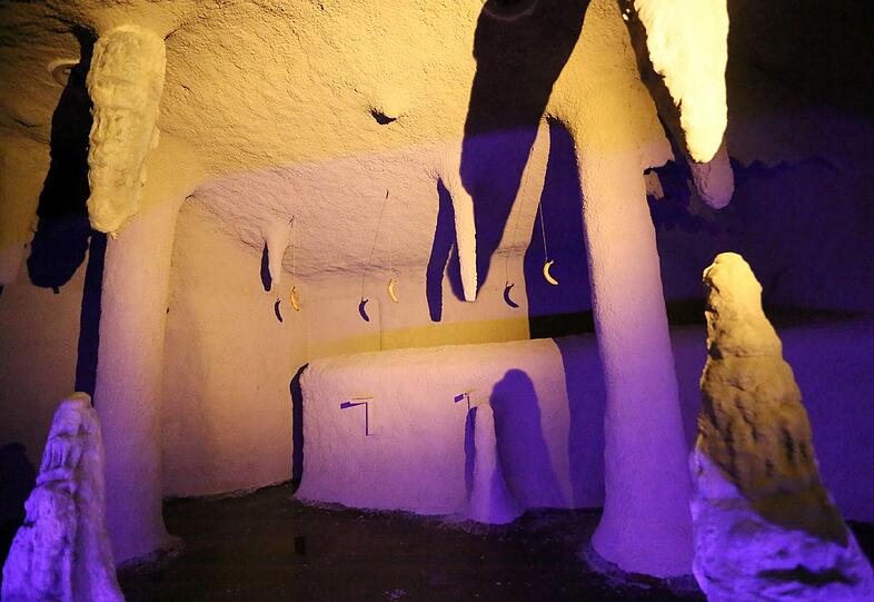 Multi-Kulti in der Fledermausgrotte: So sieht das neue Zuhause für viele verschiedene Tierarten von innen aus. Unter ihren Bewohnern sind ...
