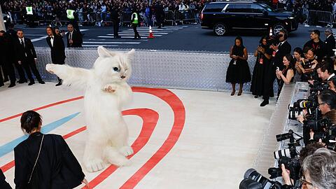 Met Gala 2023: Hollywood-Star Jared Leto erschien als Karl Lagerfelds Katze Choupette.