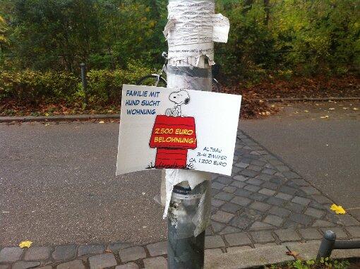 Hier sucht Snoopy samt Anhang eine neue Bleibe. Ganz rot...
