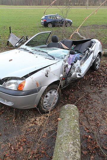 Ein Autofahrer in Fridolfing wurde schwer verletzt: Weil er eine Absperrung missachtet hatte, fiel ein bei Baumfällarbeiten gefällter Baum auf seinen Wagen.