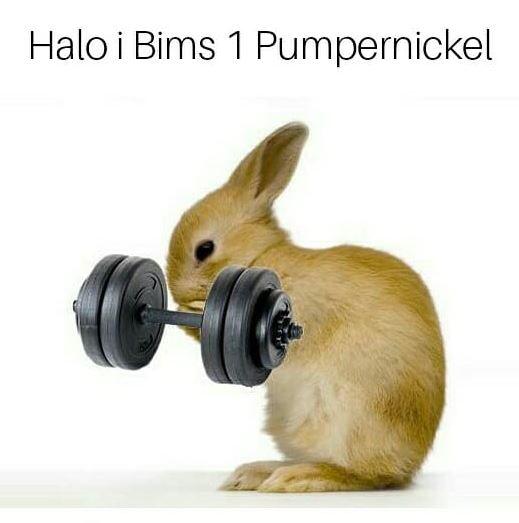 Das Pumpernickel