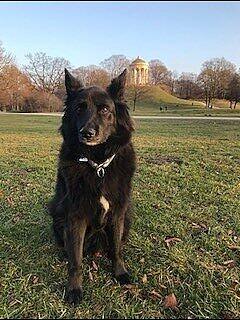 Sancho