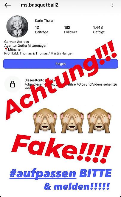 Auf Instagram warnte Karin Thaler vor einem Fake-Profil.