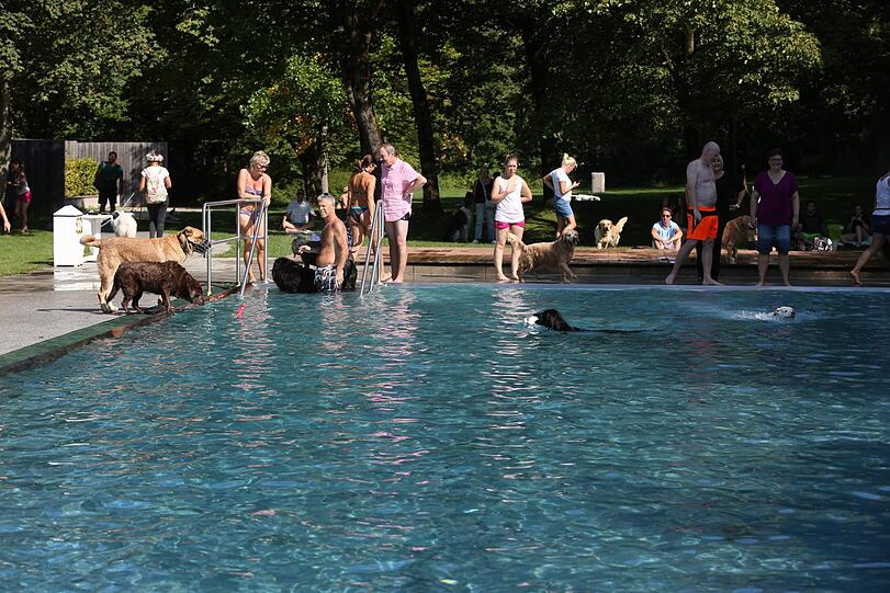 Premiere: Im Dantebad wurde heute zum ersten Mal zum Hundebadetag geladen.