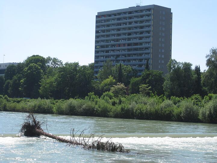 Am Flauchergelände: Aufräumen nach dem Hochwasser.