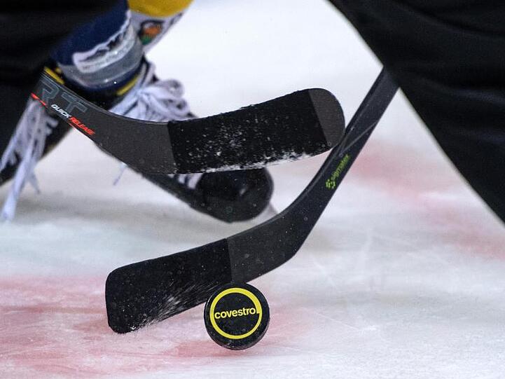 Die Eishockey-Clubs in der DEL hatten ihre Saison abgebrochen.