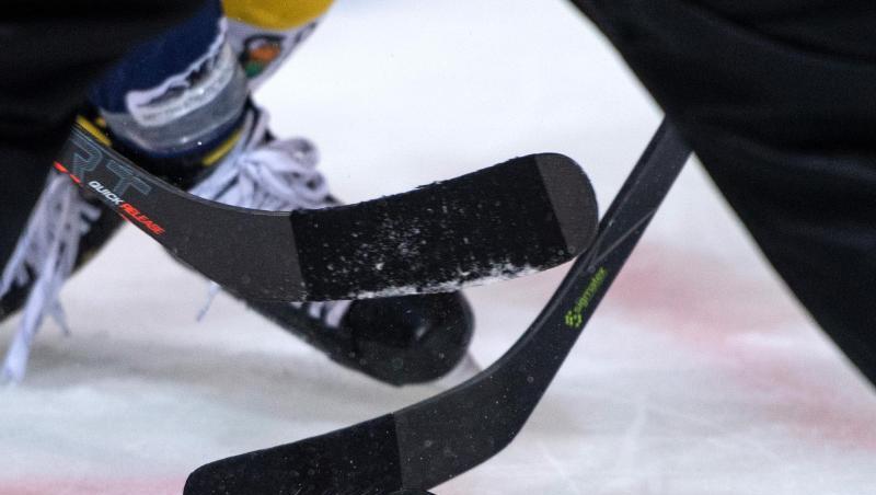 Die Eishockey-Clubs in der DEL hatten ihre Saison abgebrochen. Die Eishockey-Clubs in der DEL hatten ihre Saison abgebrochen.