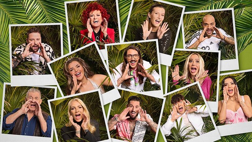 Checken nicht mehr im "Versace" ein: Die Stars des Dschungelcamps 2024.