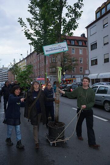 Aus der Gegend hätten inzwischen schon viele Anwohner angerufen und gefragt, was es mit den Bäumen auf sich hat, sagt Judith Müller von "Green City".