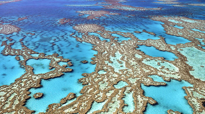 Im Great Barrier Reef in Australien sind 90 Prozent der Korallen bereits geschädigt - und auch global sind die Ökosysteme in Gefahr.