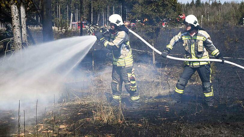 Insgesamt brannte fast ein Hektar frisch aufgeforsteter Wald. Die Feuerwehr musste das Wasser zur Einsatzstelle transportieren...
