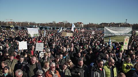 Menschen nehmen an der Demonstration des Bündnisses "Hand in Hand für unser Land" auf der Theresienwiese teil.
