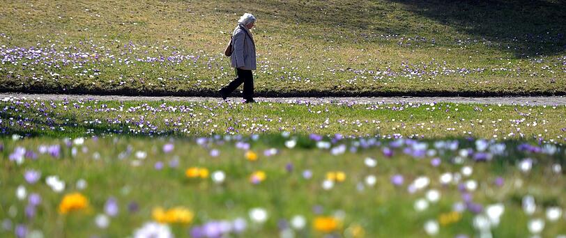 Eine Frau geht in Berlin durch eine Blumenwiese
