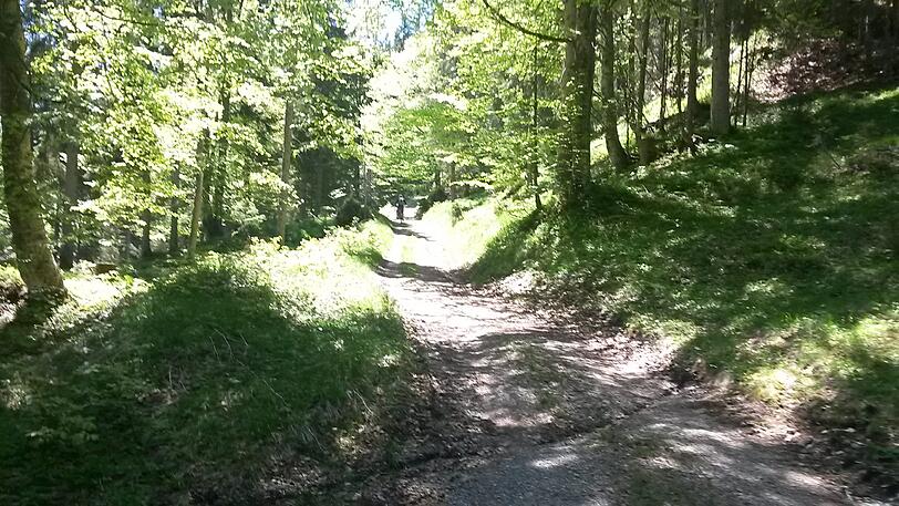 Die Natur am Kochel- und Walchensee hat das Prädikat 'atemberaubend' mehr als verdient.