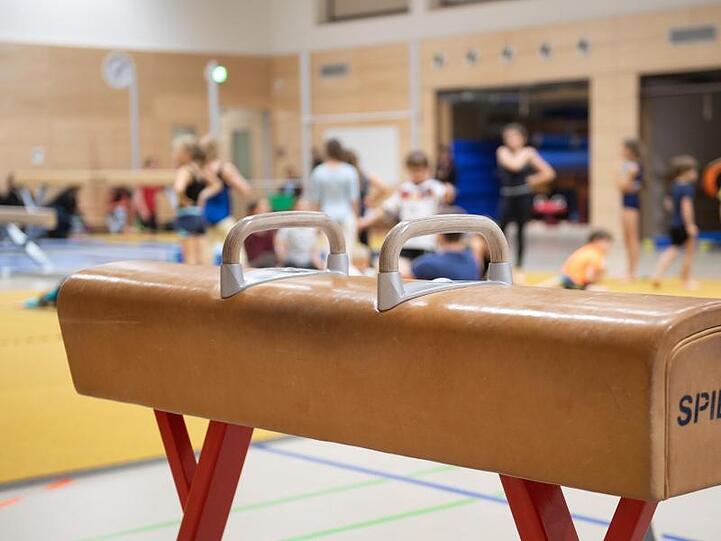 Ein Pauschenpferd steht in der Sporthalle einer Grundschule. Der Deutsche Lehrerverband hat sich gegen Veränderungen am Sportunterricht ausgesprochen.
