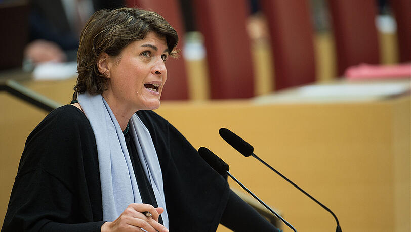 Claudia Stamm stellte die Anfrage. Claudia Stamm stellte die Anfrage.